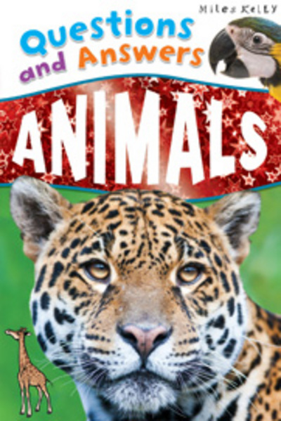 Animals (Questions and Answers) (Paperback)