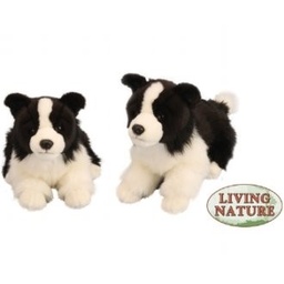 [5037832312143] Giant Border Collie Plush