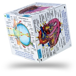 [9781904359104] Cube Book - Human Body Systems and Statistics Bigjigs