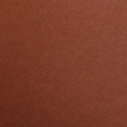 [3329680972610] Card 50x70cm (A2++) Brown 270gsm Clairefontaine