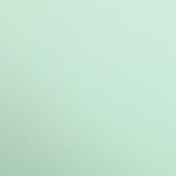 [3329680972689] [DNU] Card 50x70cm (A2++) Mint 270gsm Clairefontaine